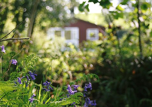 WiFi – free and fast