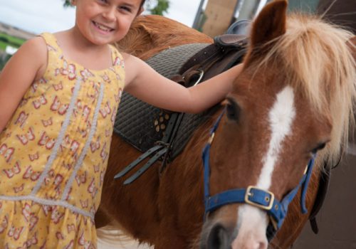 Camel Creek Adventure Park